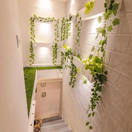 Casa Hadassa Hotel 3*